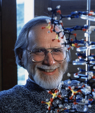J. Michael Bishop with a model of DNA Photograph courtesy of UCSF Archives and Special Collections.